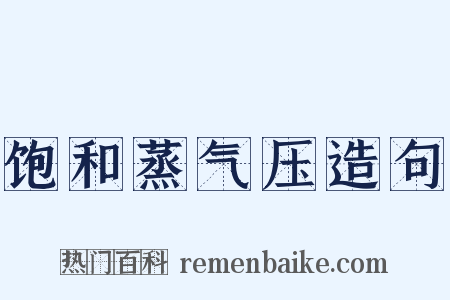 饱和蒸气压造句是什么意思的图片